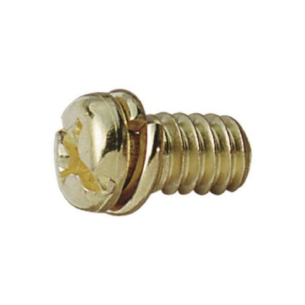 Westinghouse 10PK BRS Motor Screw 77047 - main
